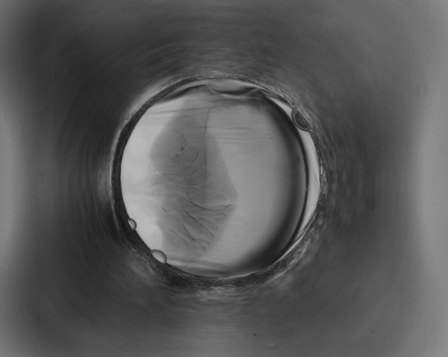 X0000086790196200705111822