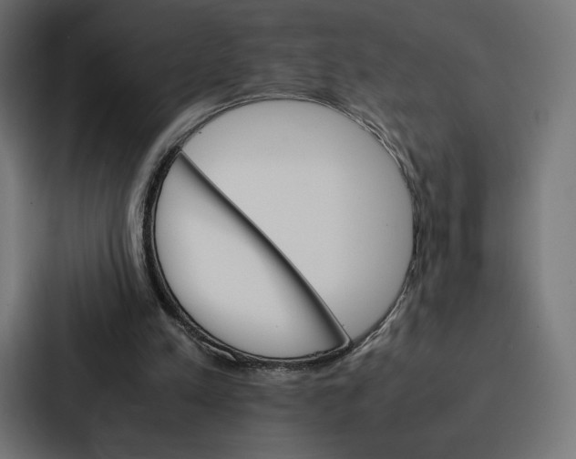 X0000086790197200705111822