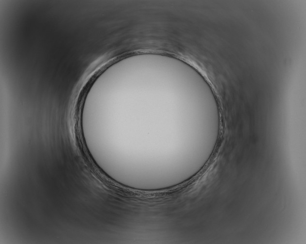 X0000086790199200705111822