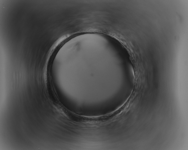 X0000086790200200705111822