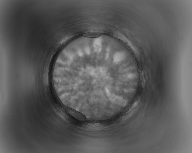 X0000086790203200705111822