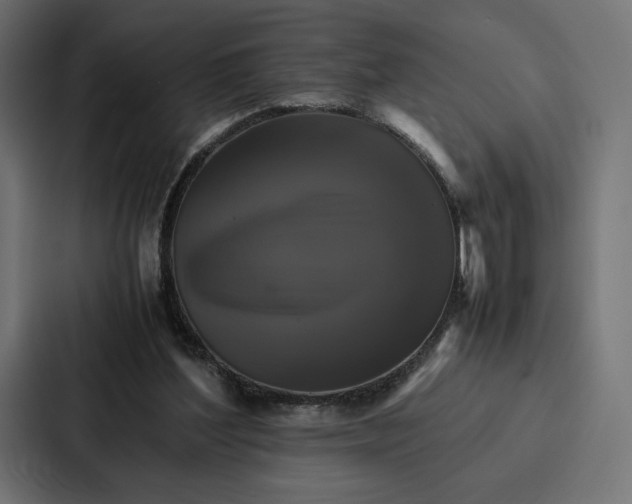 X0000086790204200705111822