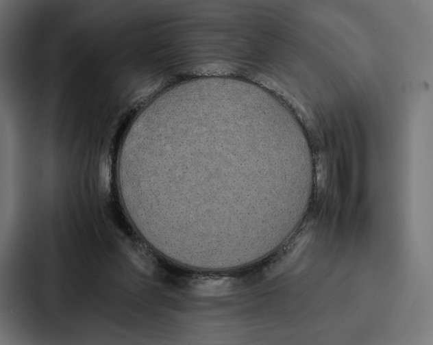 X0000086790206200705111822