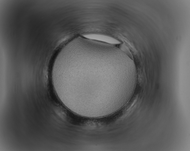 X0000086790207200705111822