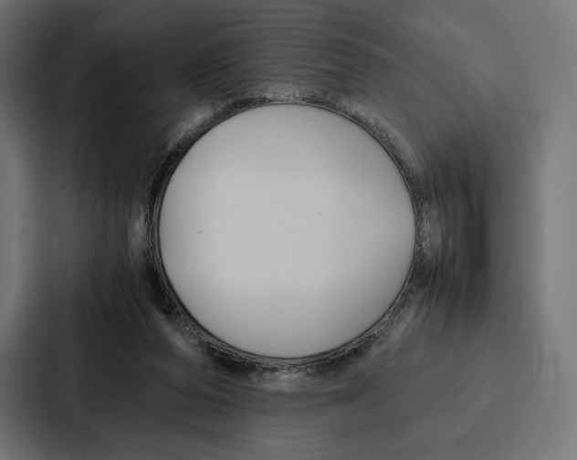 X0000086790208200705111822