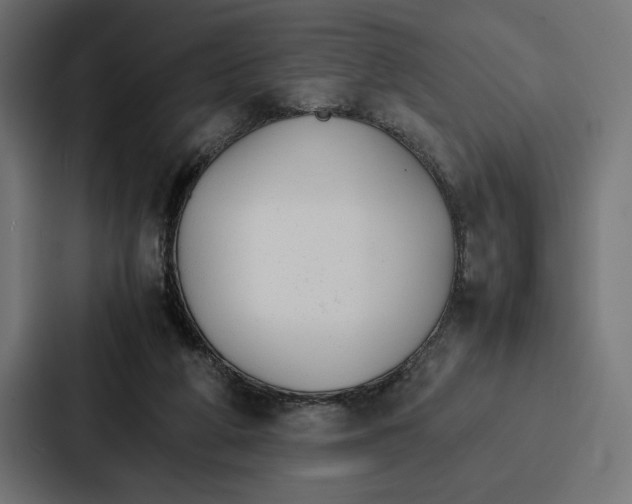 X0000086790210200705111822