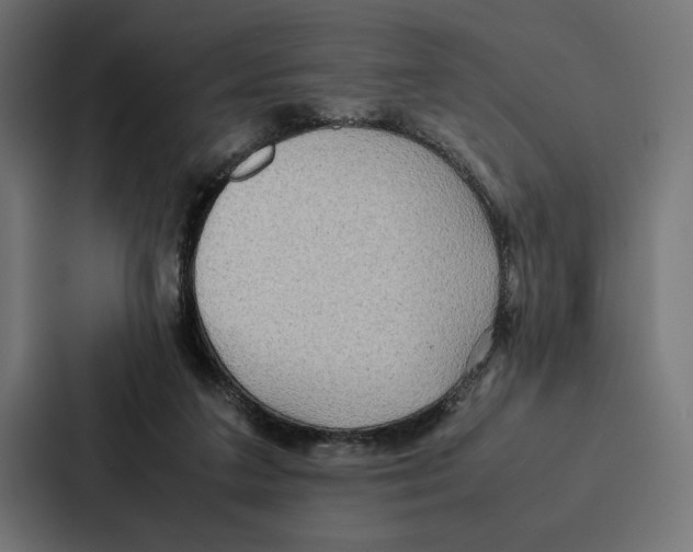 X0000086790211200705111822