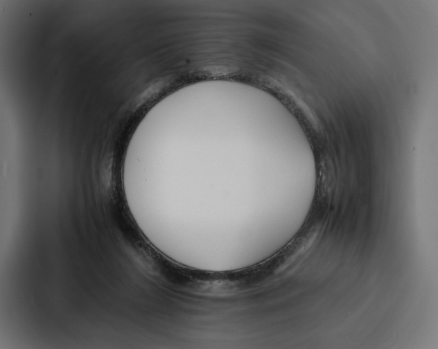 X0000086790212200705111822