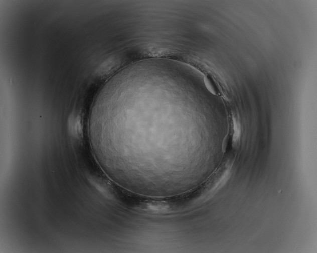 X0000086790214200705111822