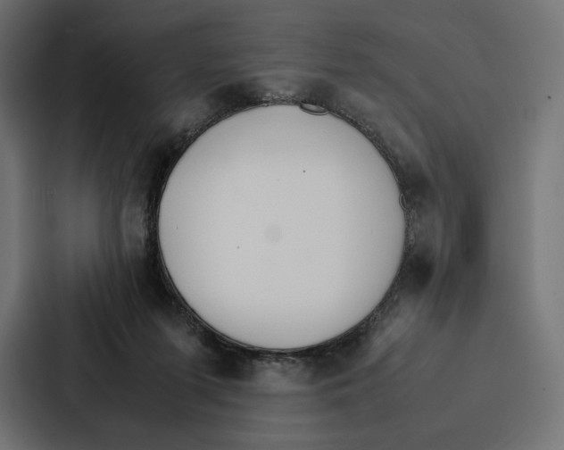 X0000086790215200705111822