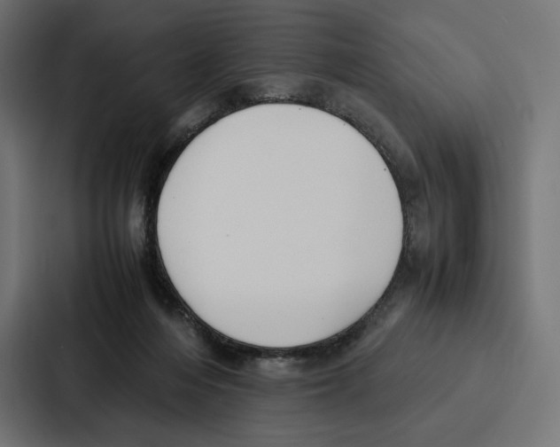 X0000086790216200705111822