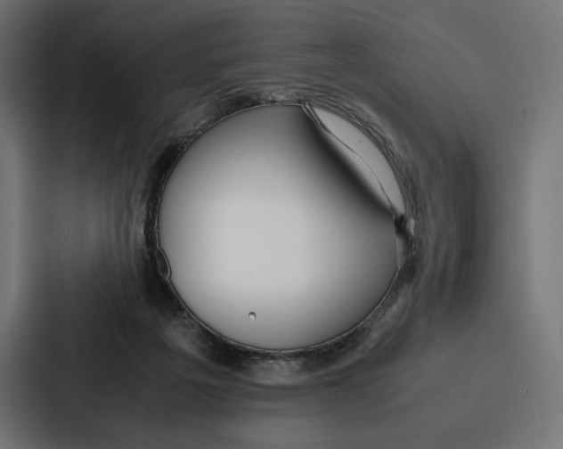 X0000086790217200705111822