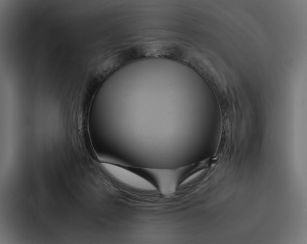 X0000086790219200705111822