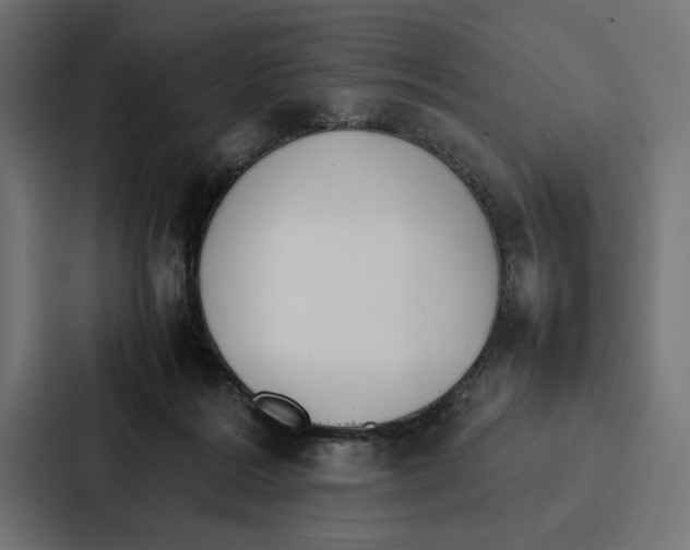 X0000086790220200705111822