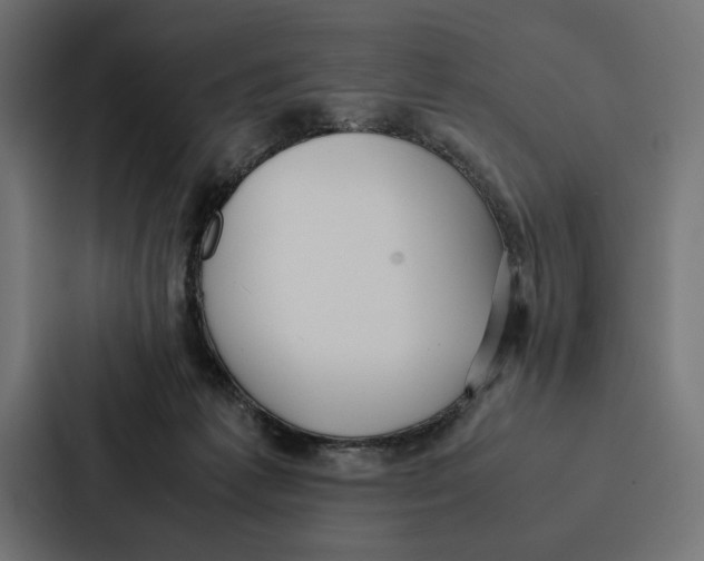 X0000086790221200705111822