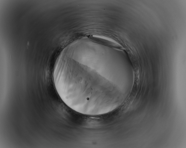 X0000086790222200705111822