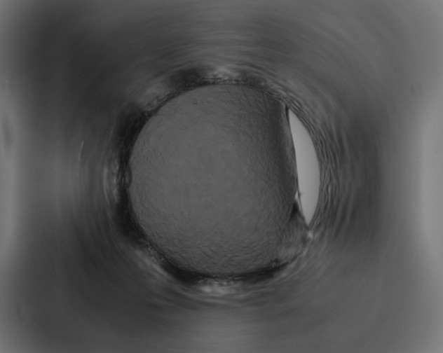 X0000086790223200705111822