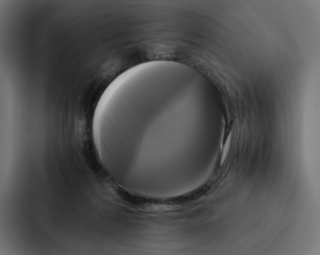 X0000086790224200705111822