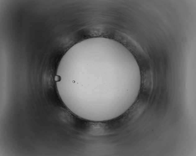 X0000086790226200705111821