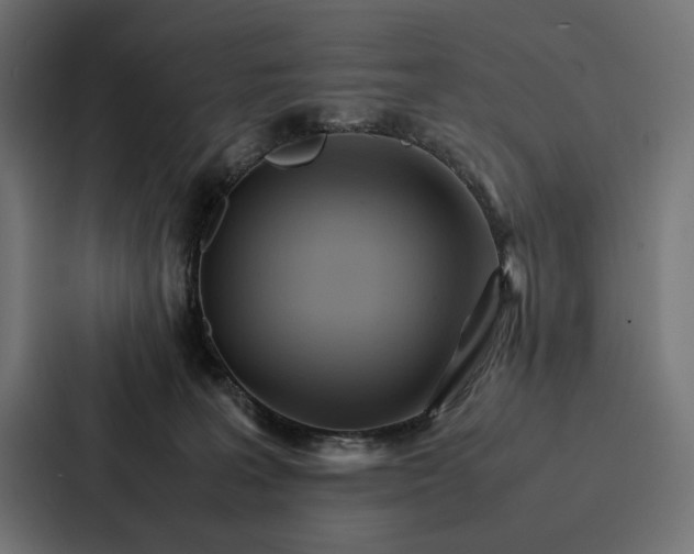 X0000086790227200705111821