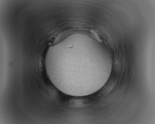 X0000086790228200705111821