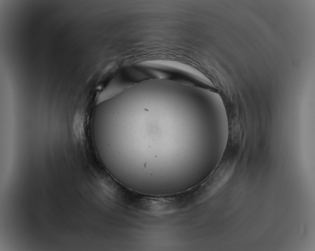 X0000086790229200705111821