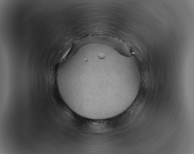 X0000086790232200705111821