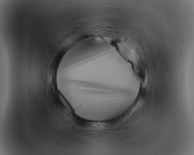 X0000086790233200705111821