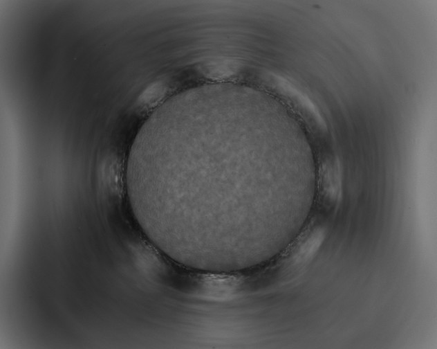 X0000086790234200705111821