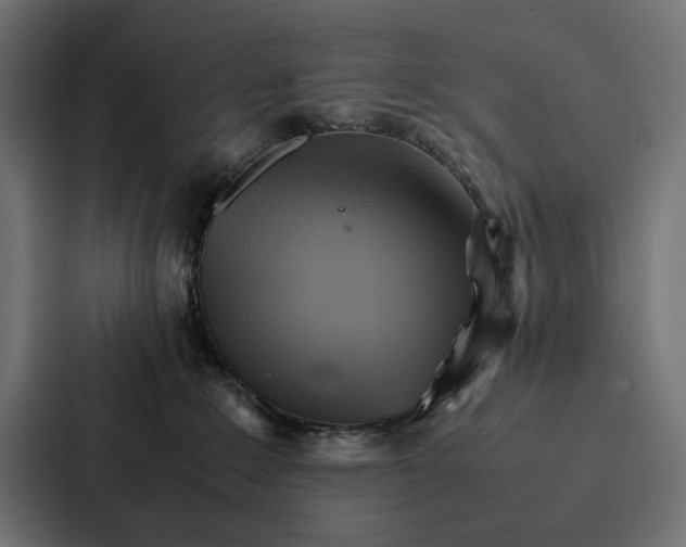 X0000086790235200705111821