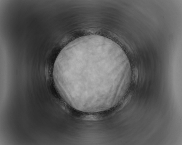 X0000086790236200705111821