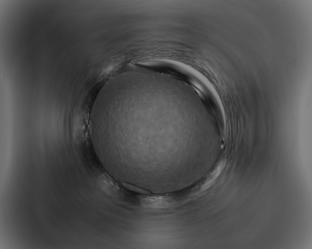 X0000086790237200705111821