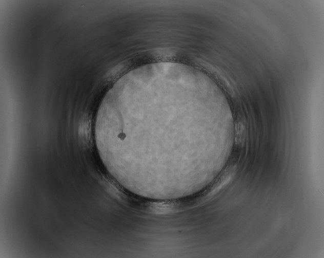 X0000086790238200705111821