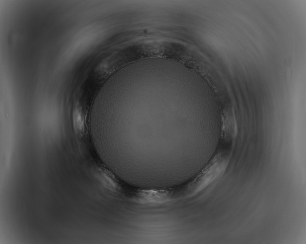 X0000086790239200705111821