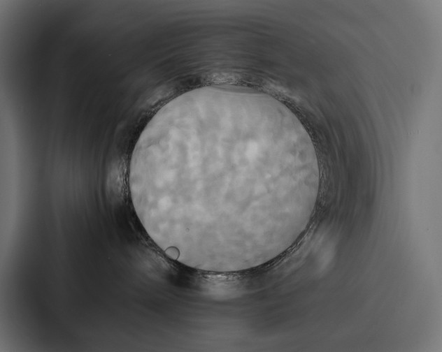 X0000086790240200705111821