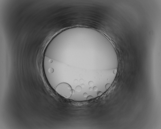 X0000086790241200705111821