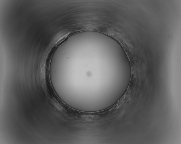 X0000086790242200705111821