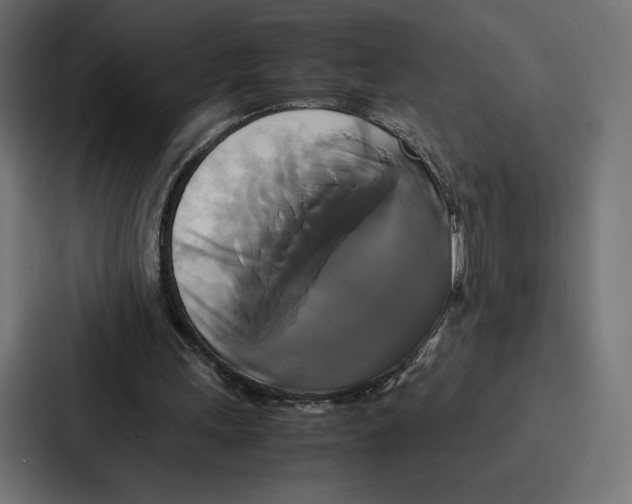 X0000086790243200705111821