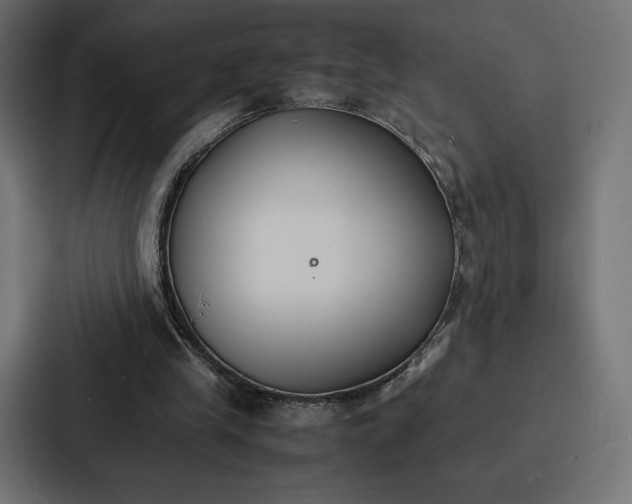 X0000086790245200705111821