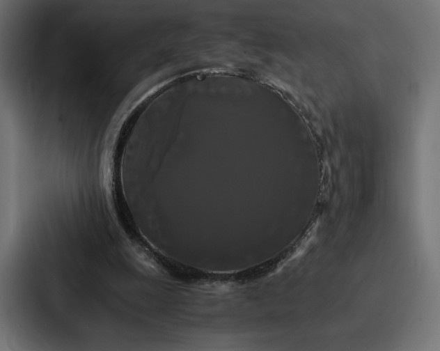 X0000086790247200705111821