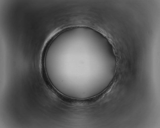 X0000086790248200705111821