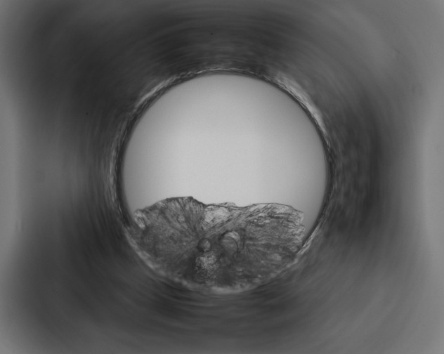 X0000086790249200705111821