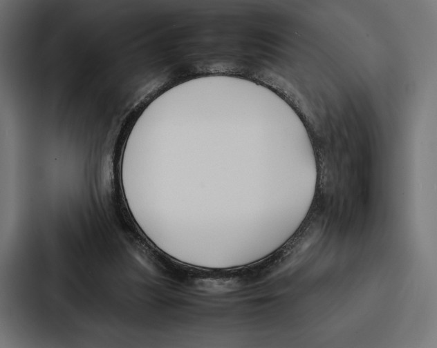 X0000086790251200705111821