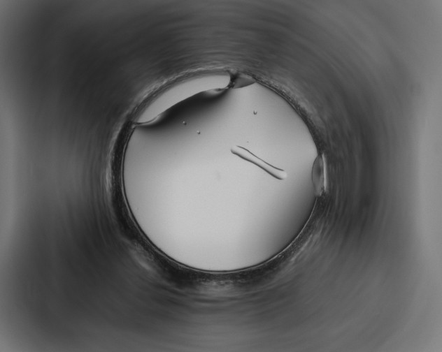 X0000086790252200705111821