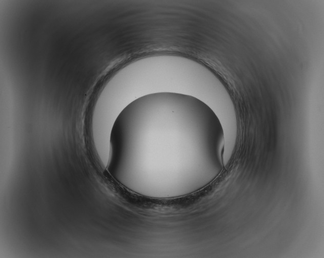 X0000086790256200705111821