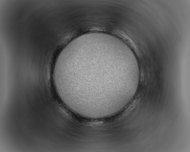 X0000086790257200705111821