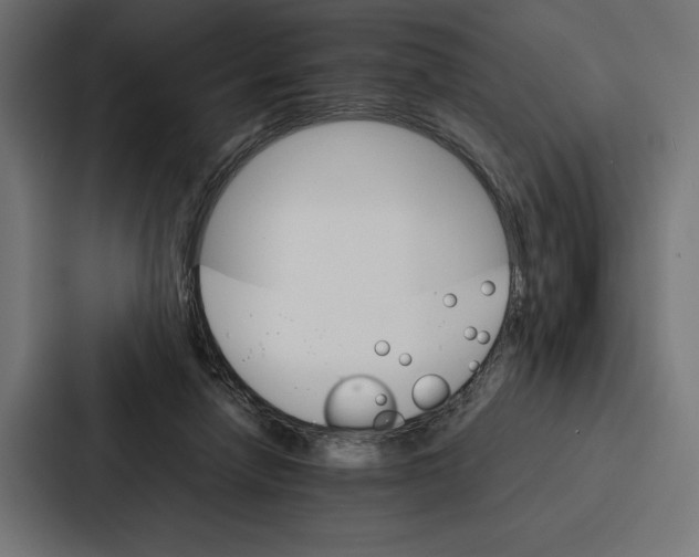 X0000086790258200705111821