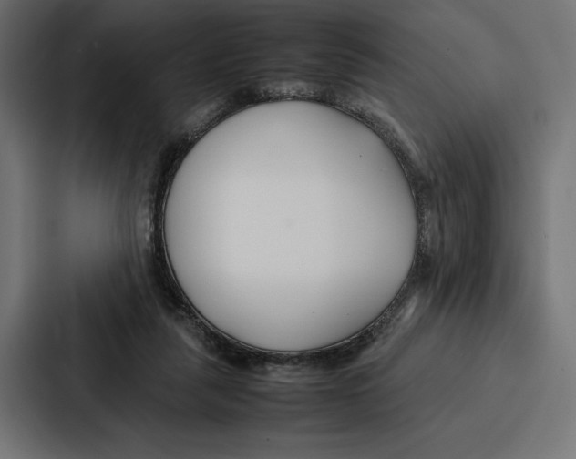 X0000086790259200705111821