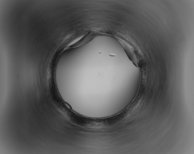 X0000086790260200705111821