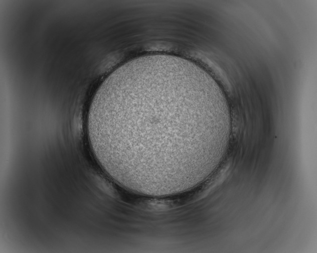 X0000086790261200705111821